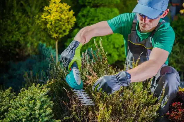 landscaping services Valley Falls
